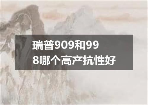 瑞普909和998哪个高产抗性好