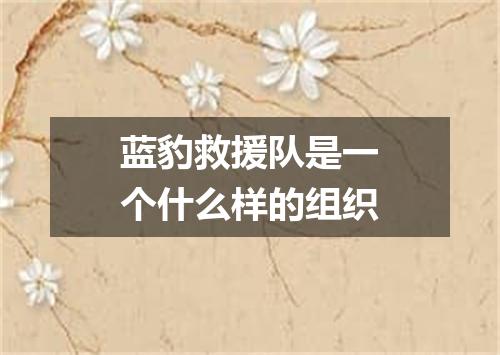 蓝豹救援队是一个什么样的组织