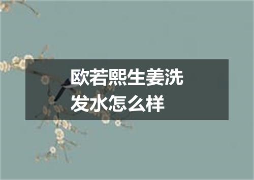 欧若熙生姜洗发水怎么样