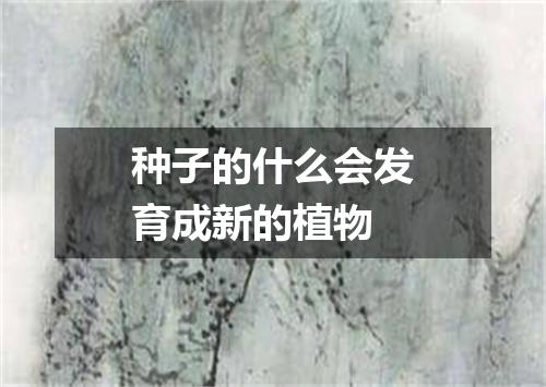 种子的什么会发育成新的植物