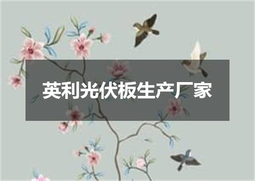 英利光伏板生产厂家