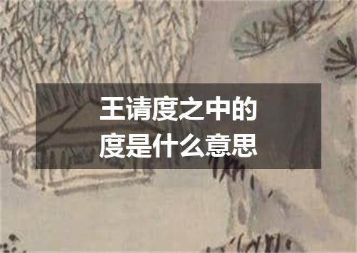 王请度之中的度是什么意思