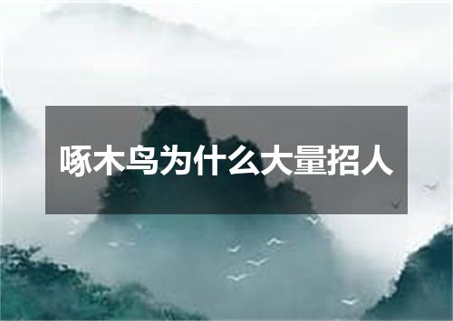 啄木鸟为什么大量招人