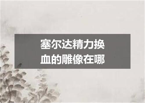 塞尔达精力换血的雕像在哪