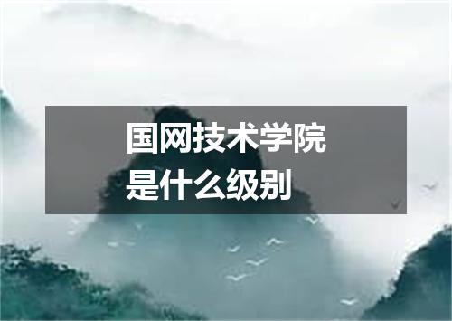 国网技术学院是什么级别
