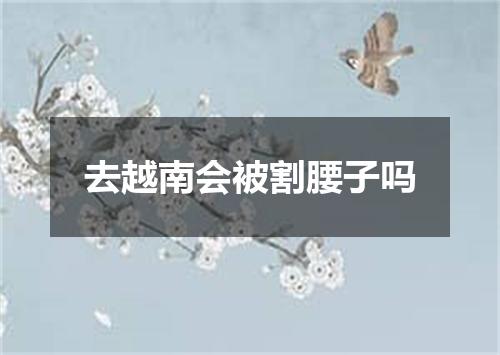 去越南会被割腰子吗