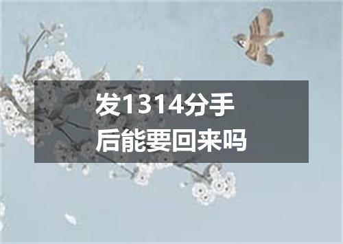 发1314分手后能要回来吗
