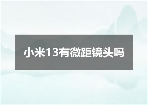 小米13有微距镜头吗