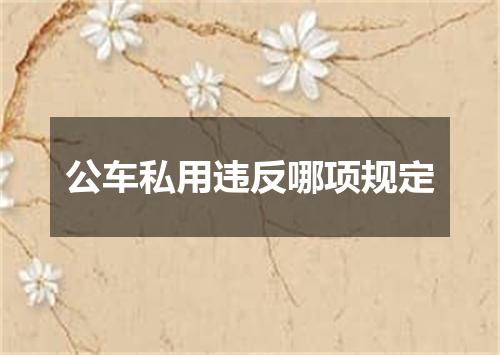 公车私用违反哪项规定