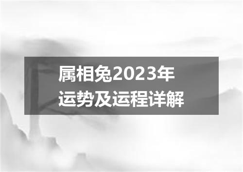 属相兔2023年运势及运程详解
