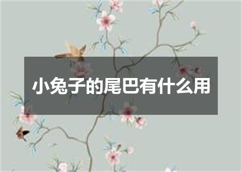 小兔子的尾巴有什么用