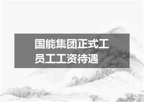 国能集团正式工员工工资待遇