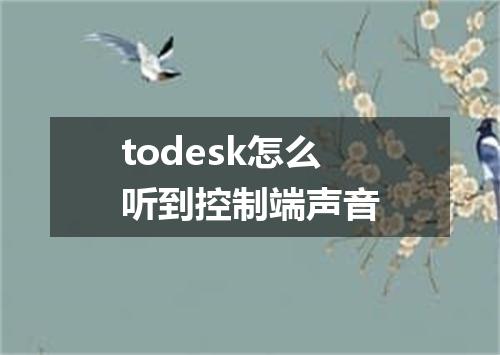 todesk怎么听到控制端声音