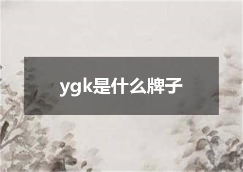 ygk是什么牌子