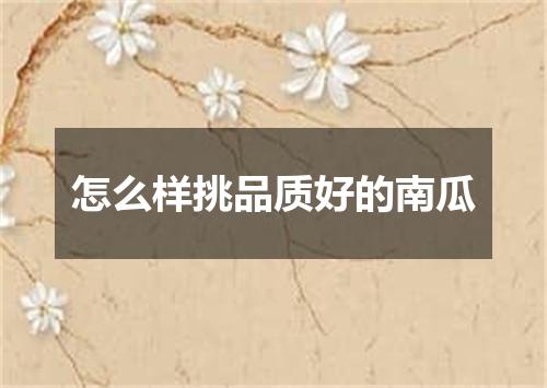 怎么样挑品质好的南瓜