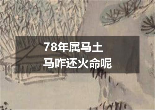 78年属马土马咋还火命呢