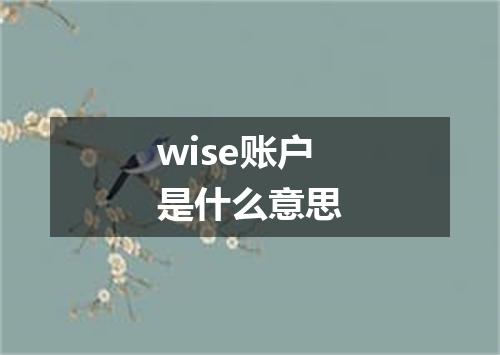 wise账户是什么意思