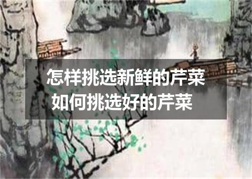 怎样挑选新鲜的芹菜 如何挑选好的芹菜