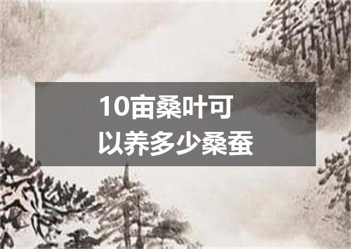 10亩桑叶可以养多少桑蚕