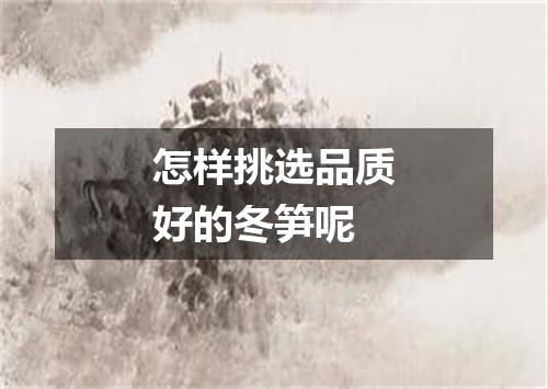 怎样挑选品质好的冬笋呢