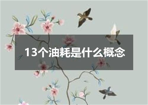 13个油耗是什么概念