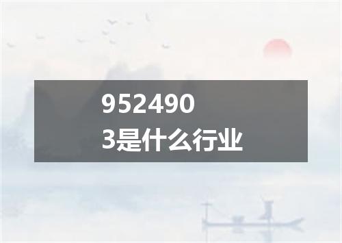 9524903是什么行业