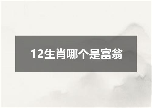 12生肖哪个是富翁