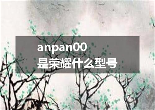 anpan00是荣耀什么型号