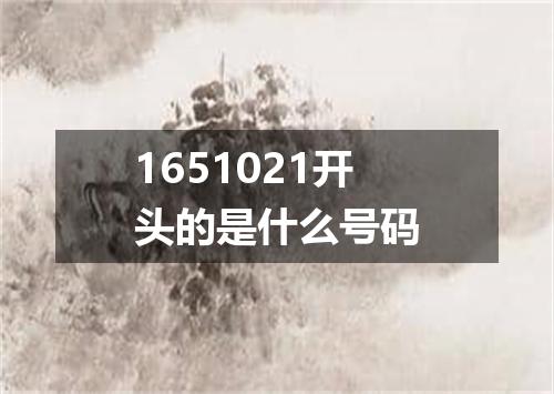 1651021开头的是什么号码