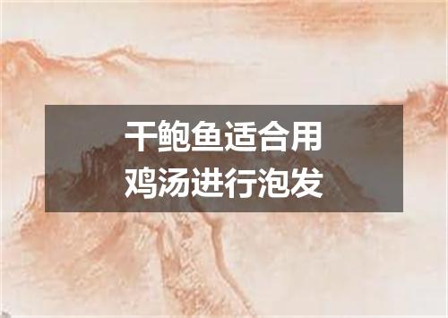 干鲍鱼适合用鸡汤进行泡发