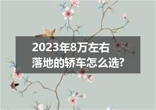 2023年8万左右落地的轿车怎么选?
