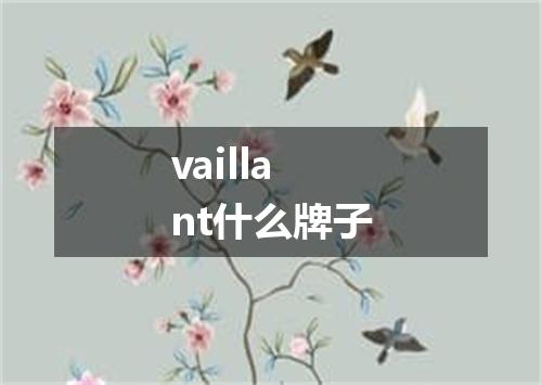 vaillant什么牌子