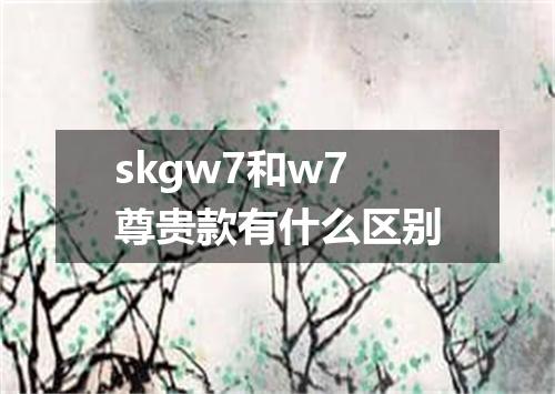 skgw7和w7尊贵款有什么区别