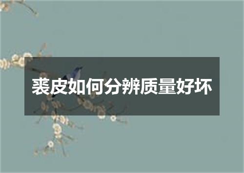 裘皮如何分辨质量好坏