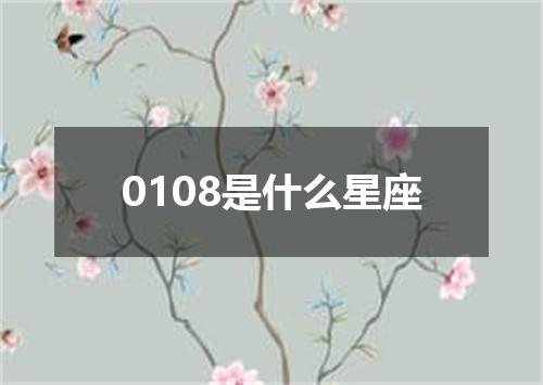 0108是什么星座