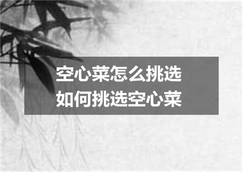 空心菜怎么挑选 如何挑选空心菜