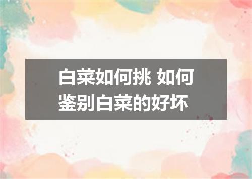 白菜如何挑 如何鉴别白菜的好坏