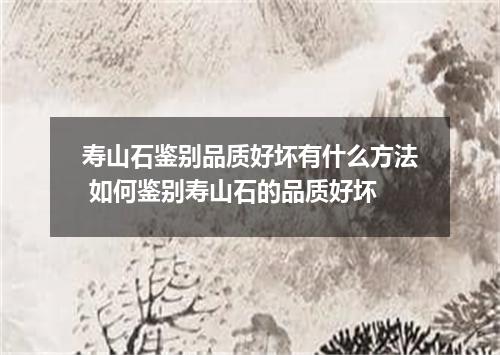 寿山石鉴别品质好坏有什么方法 如何鉴别寿山石的品质好坏