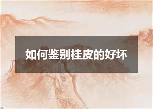 如何鉴别桂皮的好坏