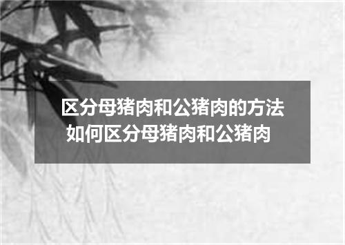 区分母猪肉和公猪肉的方法 如何区分母猪肉和公猪肉