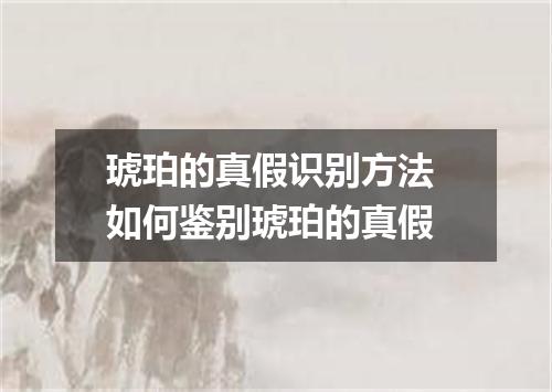 琥珀的真假识别方法 如何鉴别琥珀的真假