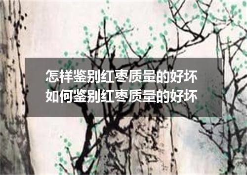 怎样鉴别红枣质量的好坏 如何鉴别红枣质量的好坏