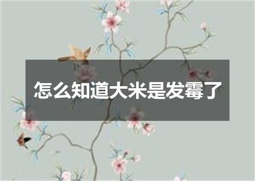 怎么知道大米是发霉了