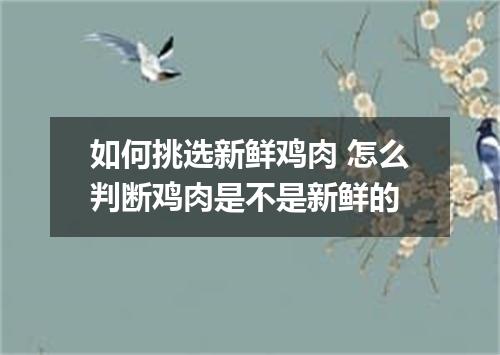 如何挑选新鲜鸡肉 怎么判断鸡肉是不是新鲜的