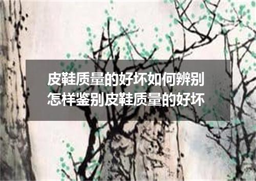 皮鞋质量的好坏如何辨别 怎样鉴别皮鞋质量的好坏