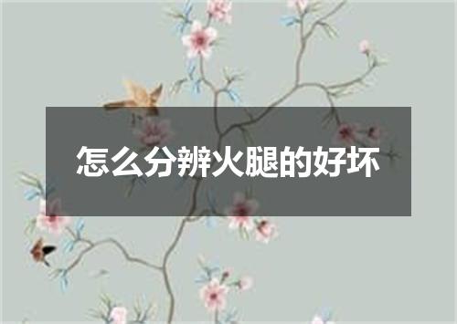 怎么分辨火腿的好坏