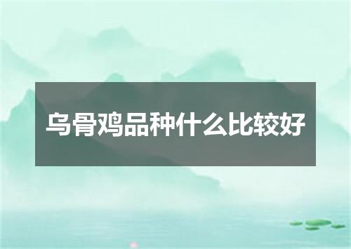 乌骨鸡品种什么比较好