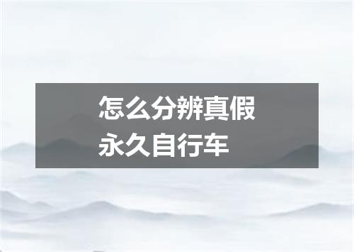怎么分辨真假永久自行车