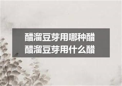 醋溜豆芽用哪种醋 醋溜豆芽用什么醋