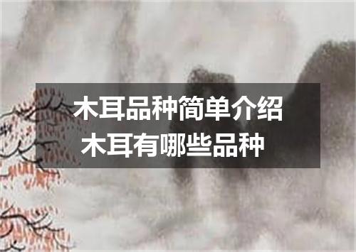 木耳品种简单介绍 木耳有哪些品种